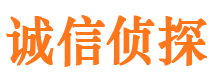 岐山侦探公司